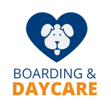 Boarding & Daycare - Dog Obedience Training, Macro Island FL