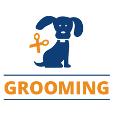 Dog Grooming - Dog Obedience Training, Naples FL