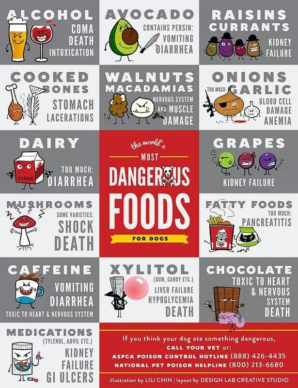 Food Safety Graphic